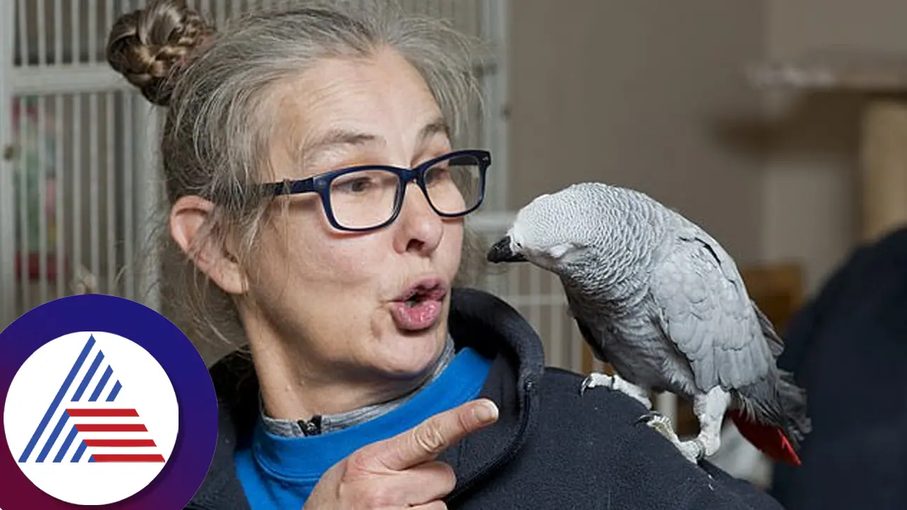 ಅಮೆಜಾನ್​ನಿಂದ ಏನೇನೋ ಆರ್ಡರ್​ ಮಾಡಿದ ಕಿತಾಪತಿ ಆಫ್ರಿಕನ್​ ಗಿಳಿ! ಮಹಿಳೆ ಸುಸ್ತೋ ಸುಸ್ತು ಏನಾಯ್ತು ನೋಡಿ