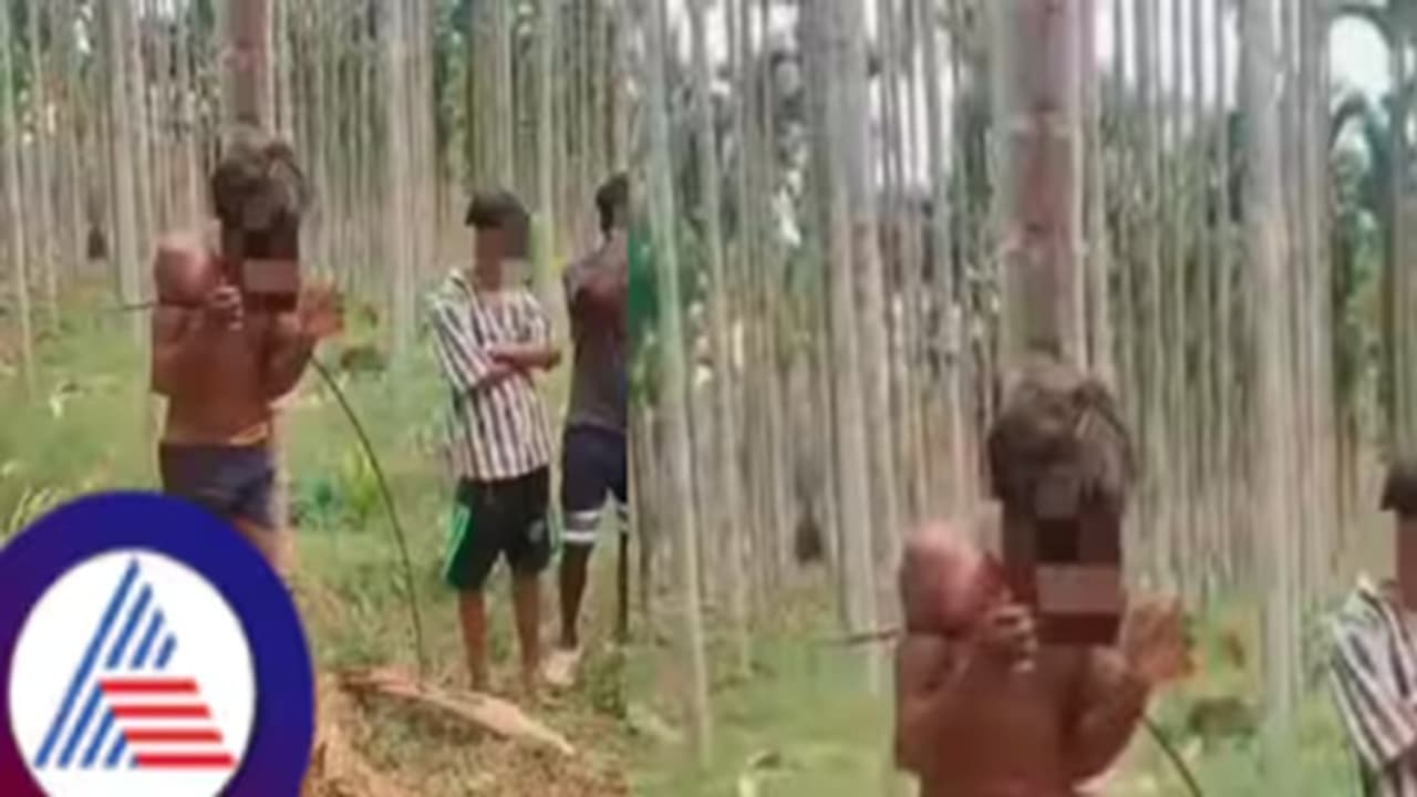 അടക്ക മോഷ്ടിച്ചെന്ന് ആരോപിച്ച് ആദിവാസി ബാലനെ മരത്തിൽ കെട്ടിയിട്ട് മർദ്ദിച്ച് യുവാക്കൾ, കേസ് അടക്ക മോഷ്ടിച്ചെന്ന് ആരോപിച്ച് ആദിവാസി ബാലനെ മരത്തിൽ കെട്ടിയിട്ട് മർദ്ദിച്ച് യുവാക്കൾ, കേസ്