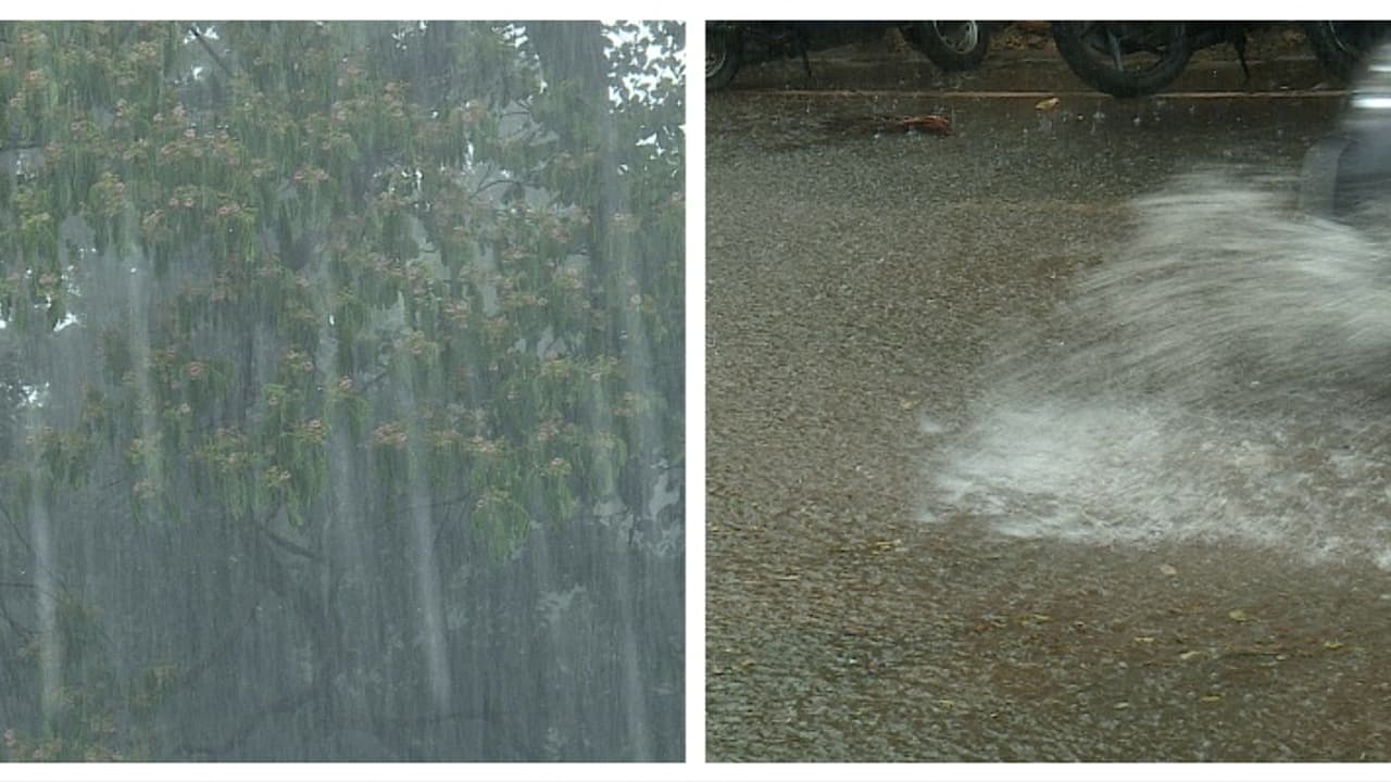 സംസ്ഥാനത്ത് ഒറ്റപ്പെട്ടയിടങ്ങളിൽ ഇന്നും ശക്തമായ മഴയ്ക്ക് സാധ്യത; 3 ജില്ലകളിൽ യെല്ലോ അലർട്ട്