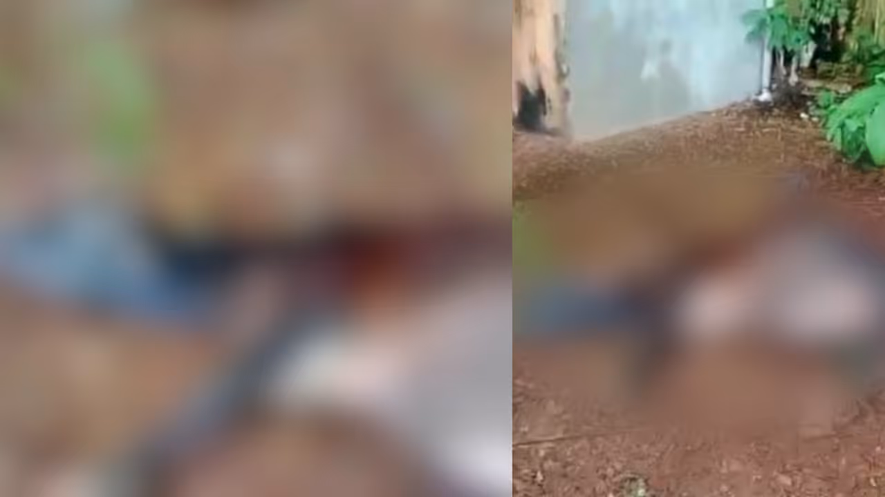 കുസാറ്റ് ക്യാമ്പസിൽ പശുക്കിടാവിനോട് കൊടുംക്രൂരത! ശരീരത്തിൽ മുഴുവൻ മുറിവ്, കാലുകൾ കേബിളിൽ കെട്ടിയിട്ട നിലയിൽ