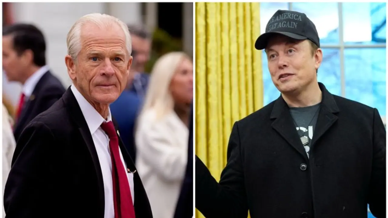 'PhD in Econ from Harvard is bad': Elon Musk's swipe at Trump tariff advisor Pete Navarro as feud goes public
