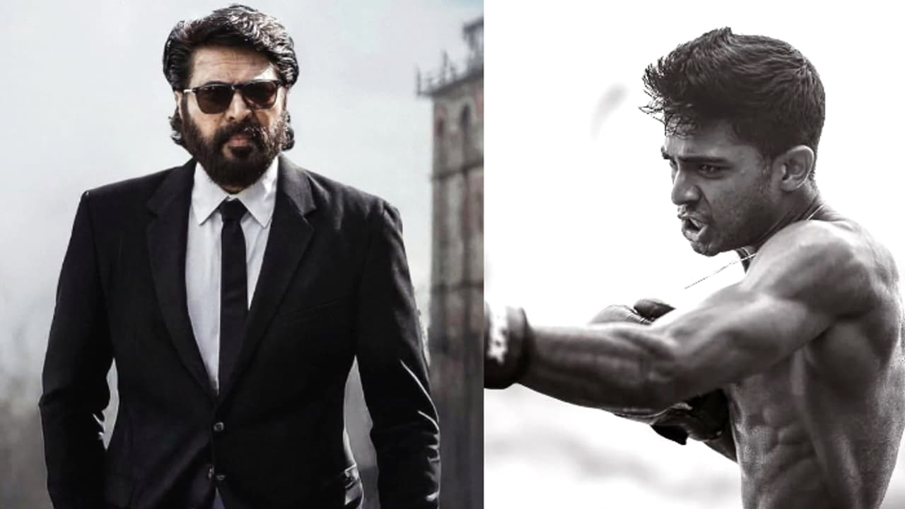 ഒന്നാമന് 303000, 1 ലക്ഷത്തോളം നേടി 'ജിംഖാന' പിള്ളേർ; 47000ൽ ഒതുങ്ങി ബസൂക്ക; ബുക്കിങ്ങിൽ സംഭവിക്കുന്നത് ഒന്നാമന് 303000, 1 ലക്ഷത്തോളം നേടി 'ജിംഖാന' പിള്ളേർ; 47000ൽ ഒതുങ്ങി ബസൂക്ക; ബുക്കിങ്ങിൽ സംഭവിക്കുന്നത്