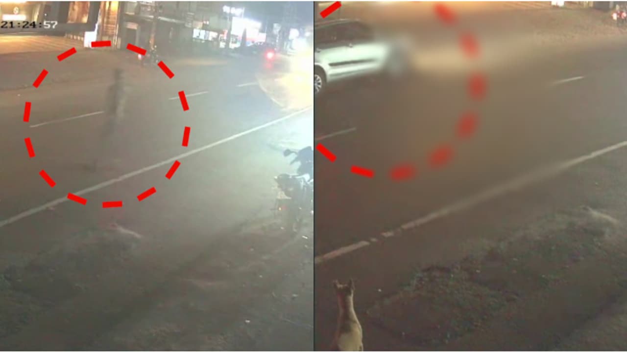 പൂച്ചയെ രക്ഷിക്കാൻ ബൈക്ക് നിർത്തി റോഡിലേക്ക് ഇറങ്ങി; തൃശൂർ മണ്ണുത്തിയിൽ യുവാവ് കാറിടിച്ചു മരിച്ചു