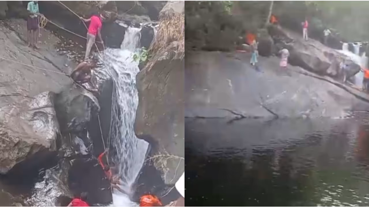 തേനെടുക്കാൻ പോയി തിരിച്ചുവന്നില്ല; കരിമ്പ ആറ്റില വെള്ളച്ചാട്ടത്തിനു സമീപം മണികണ്ഠനായുള്ള തെരച്ചിൽ ആരംഭിക്കും തേനെടുക്കാൻ പോയി തിരിച്ചുവന്നില്ല; കരിമ്പ ആറ്റില വെള്ളച്ചാട്ടത്തിനു സമീപം മണികണ്ഠനായുള്ള തെരച്ചിൽ ആരംഭിക്കും