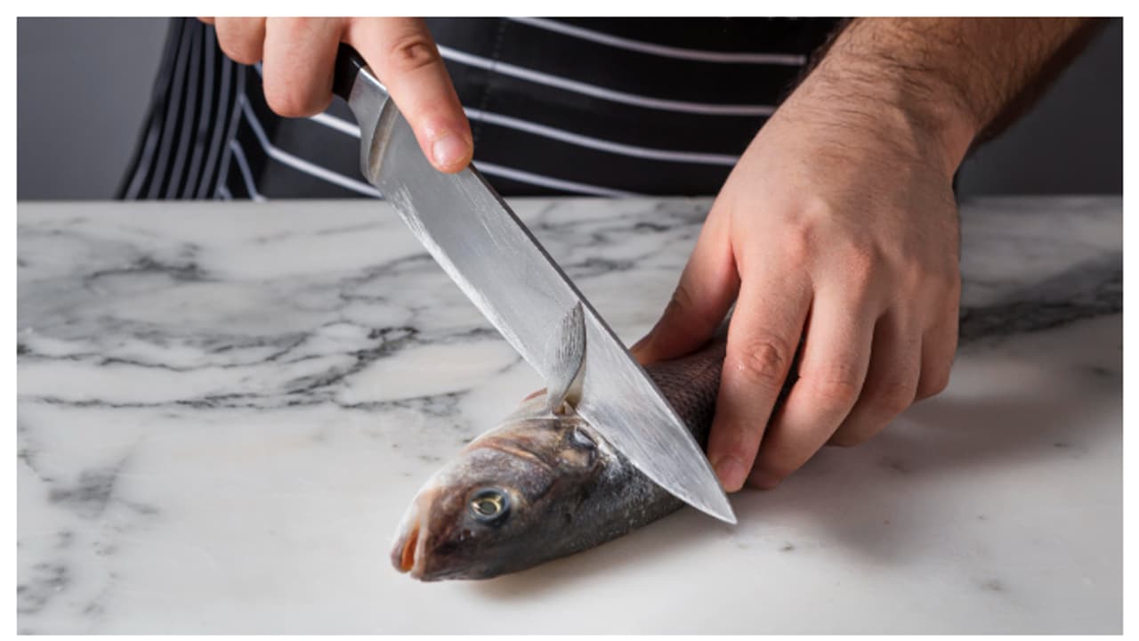 വീട്ടിൽ തന്നെ കത്തിയുടെ മൂർച്ച കൂട്ടാൻ ഇതാ 5 ഈസി ടിപ്പുകൾ 