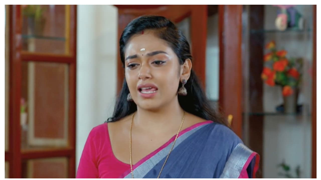 അച്ഛൻ മരിച്ച് ഒരു വർഷം, ഓർമ്മകളുമായി രേവതിയും കുടുംബവും ചെമ്പനീർ പൂവ് സീരിയൽ റിവ്യൂ അച്ഛൻ മരിച്ച് ഒരു വർഷം, ഓർമ്മകളുമായി രേവതിയും കുടുംബവും ചെമ്പനീർ പൂവ് സീരിയൽ റിവ്യൂ