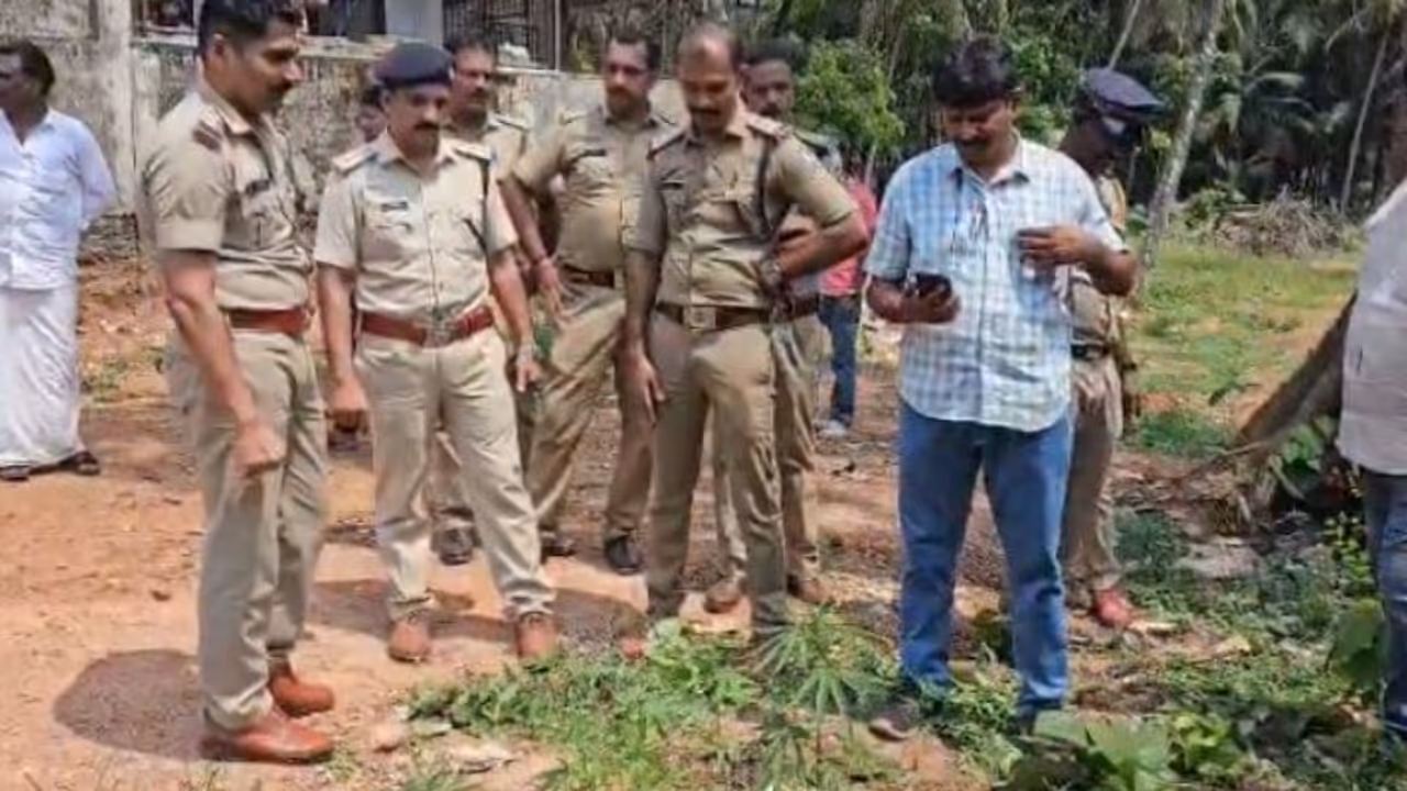 ലഹരി സംഘങ്ങളെ പിടിക്കാൻ ഡ്രോൺ പരിശോധന; ആളൊഴിഞ്ഞ പറമ്പിൽ നിന്ന് കണ്ടെത്തിയത് 16 കഞ്ചാവ് ചെടികൾ