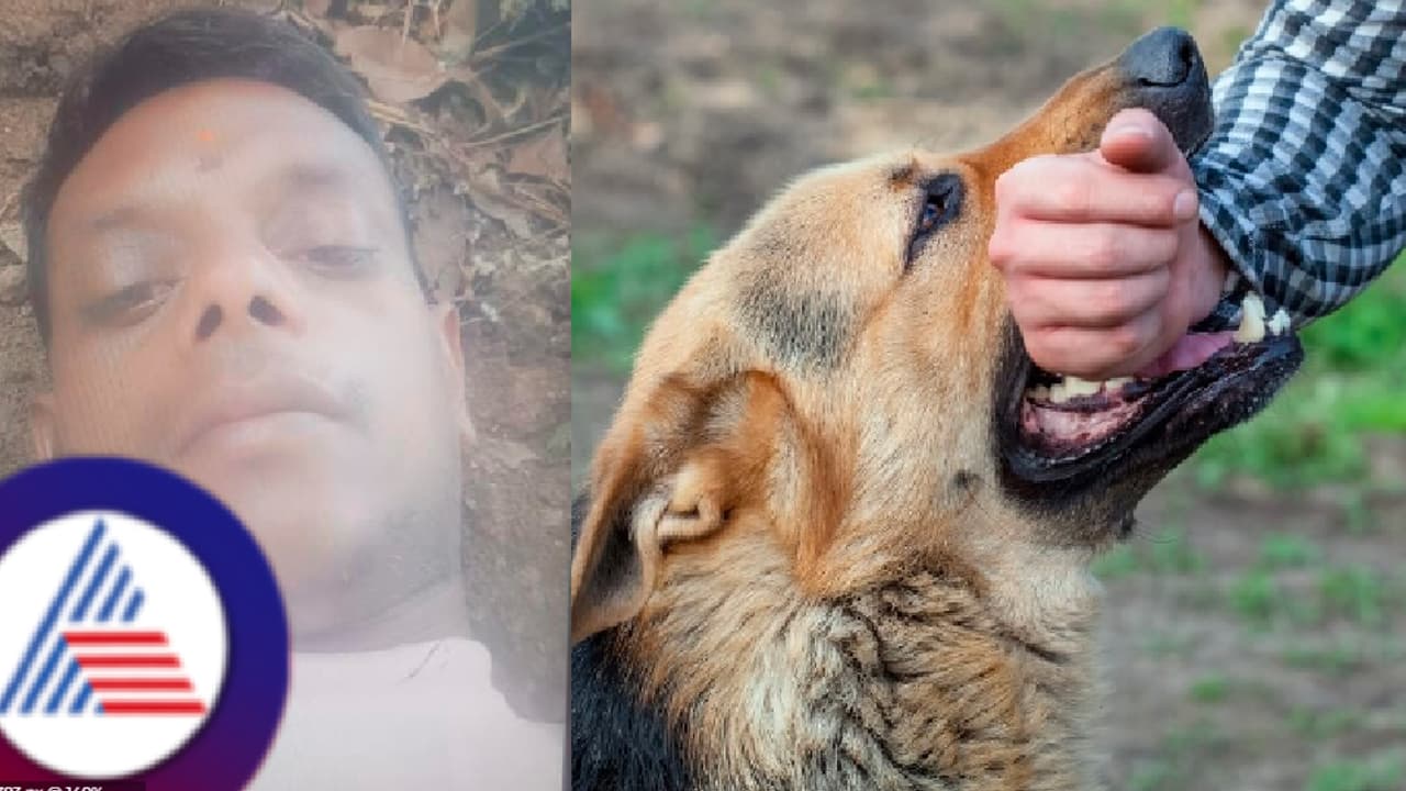 ನಾಯಿ ಕಡಿದು ಆರು ತಿಂಗಳ ಬಳಿಕ ವ್ಯಕ್ತಿ ಸಾವು! ಪಪ್ಪಿ ಲವರ್ಸ್ ಇದನ್ನ ಅಲಕ್ಷ್ಯ ಮಾಡ್ಬೇಡಿ ಕಣ್ರಪ್ಪ!
