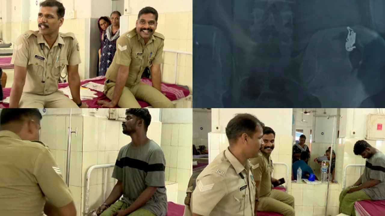 കഴിച്ചത് കിലോ കണക്കിന് പൂവൻ പഴം, എന്നിട്ടും പൊലീസിന്റെ കാത്തിരിപ്പ് തുടർന്നു, മൂന്നാം പക്കം മാല പുറത്തേക്ക് കഴിച്ചത് കിലോ കണക്കിന് പൂവൻ പഴം, എന്നിട്ടും പൊലീസിന്റെ കാത്തിരിപ്പ് തുടർന്നു, മൂന്നാം പക്കം മാല പുറത്തേക്ക്