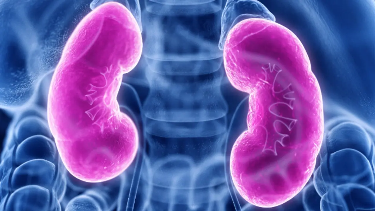 kidney health AN