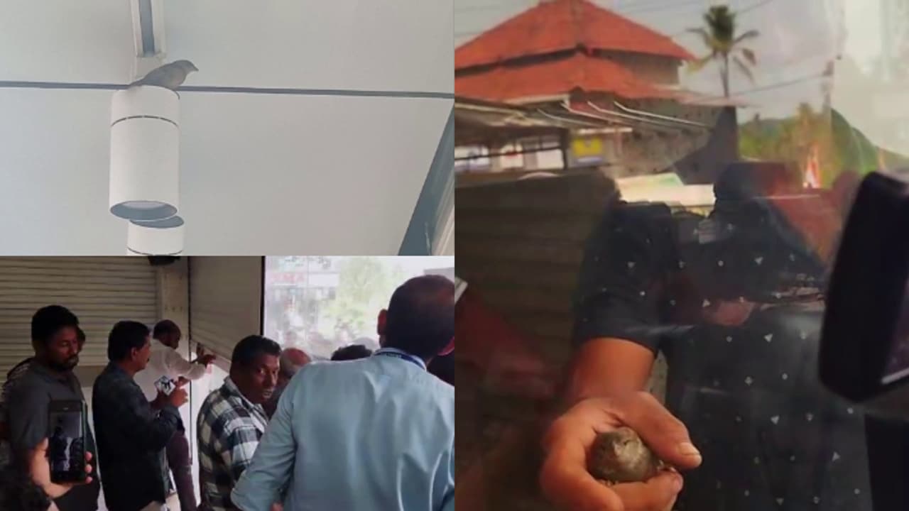 കളക്ടർ ഇടപെട്ടു, ജില്ലാ ജഡ്ജിയും നേരിട്ടെത്തി; അപൂർവ റെക്കോർഡുമായി അങ്ങാടിക്കുരുവി തടവിൽ നിന്ന് പുറത്തേക്ക് കളക്ടർ ഇടപെട്ടു, ജില്ലാ ജഡ്ജിയും നേരിട്ടെത്തി; അപൂർവ റെക്കോർഡുമായി അങ്ങാടിക്കുരുവി തടവിൽ നിന്ന് പുറത്തേക്ക്