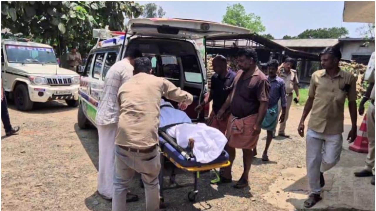 പരുന്തിന്‍റെ ആക്രമണത്തില്‍ തേനീച്ചക്കൂട് ഇളകി; കുത്തേറ്റ് വയോധികന് ദാരുണാന്ത്യം