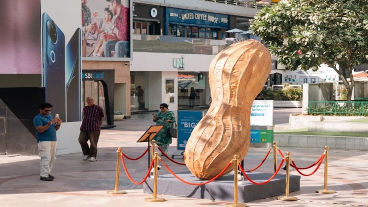 Viral 10ft peanut at Gurugram's CyberHub trolls corporate salaries ahead of appraisals season