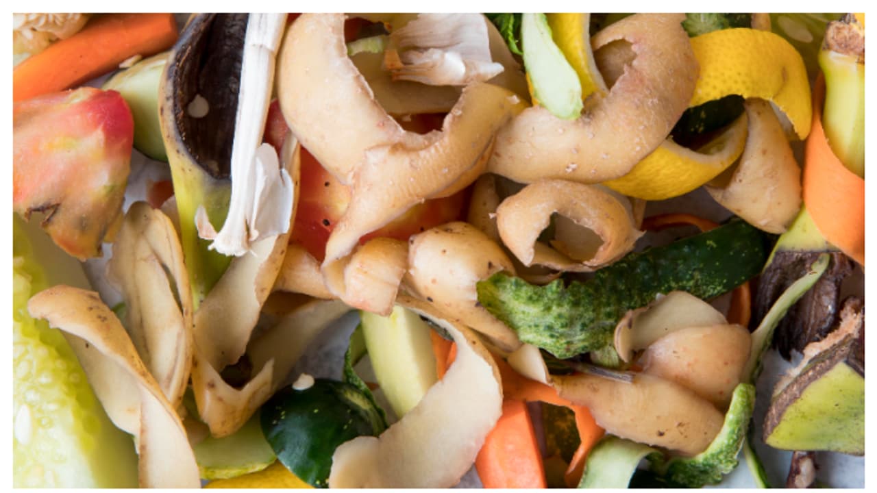 ഭക്ഷണം പാഴാകാതിരിക്കാൻ ഇതാ 5 വഴികൾ 