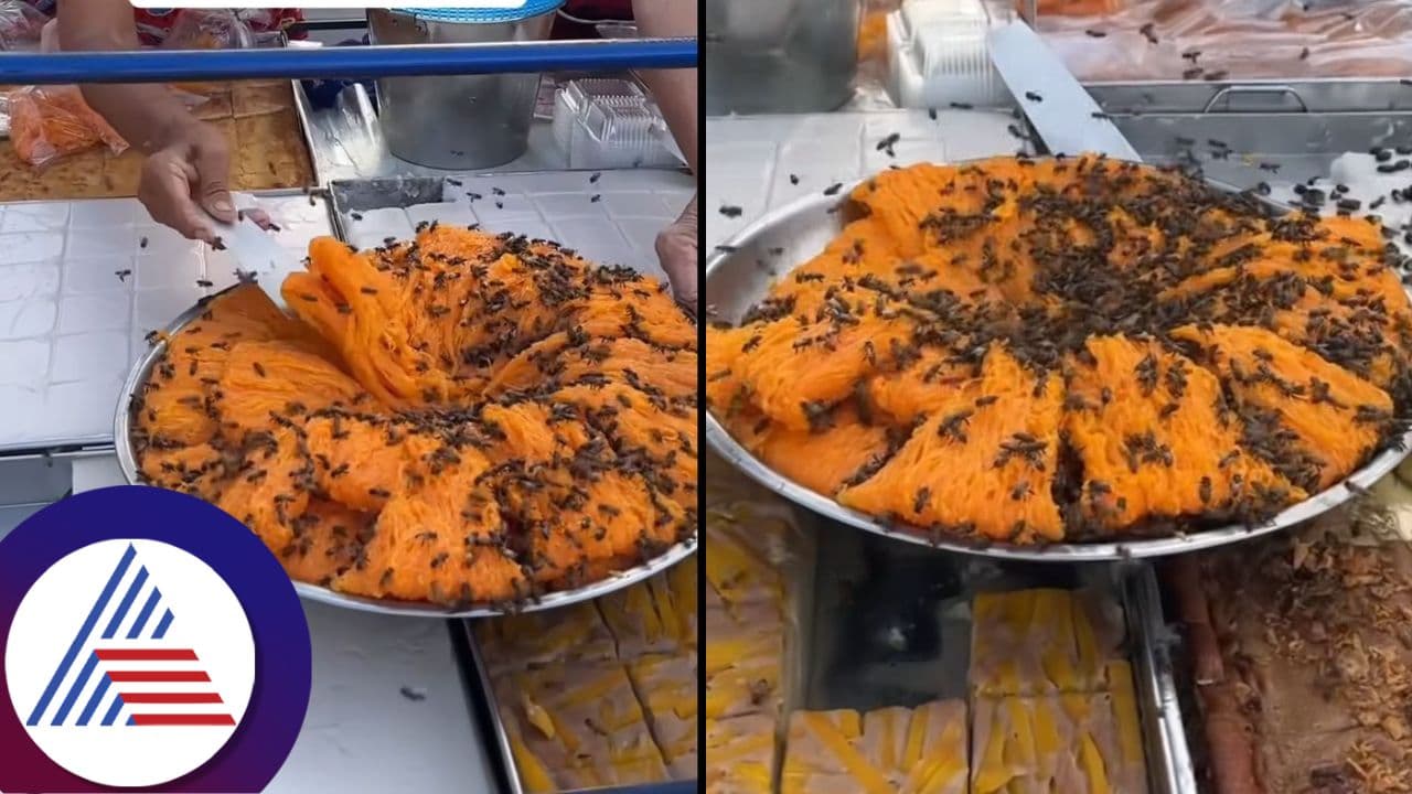 ಜೇನೊಣ ತುಂಬಿರುವ ಈ ಸ್ವೀಟ್ನ ಬೆಲೆ ಕೇಳಿದ್ರೆ ಶಾಕ್ ಆಗ್ತೀರಾ! ಜೇನೊಣ ತುಂಬಿರುವ ಈ ಸ್ವೀಟ್ನ ಬೆಲೆ ಕೇಳಿದ್ರೆ ಶಾಕ್ ಆಗ್ತೀರಾ!