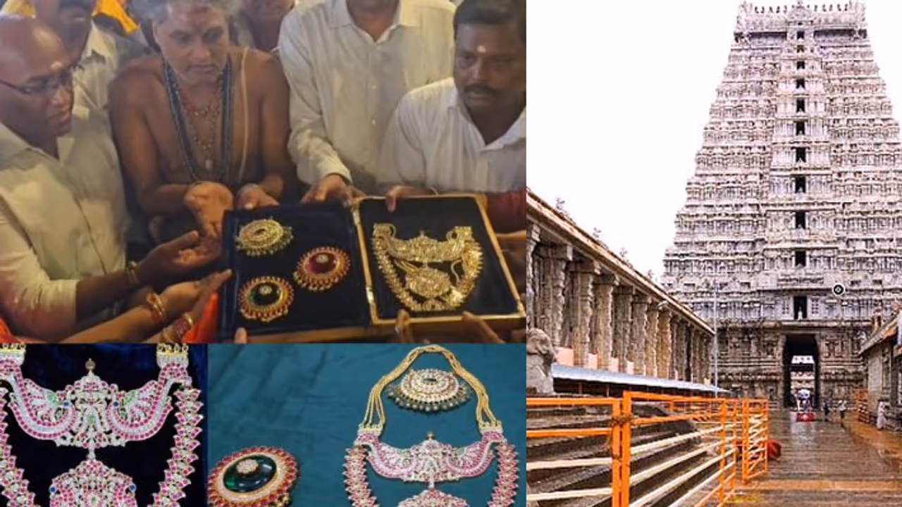 தி.மலை அண்ணாமலையார் கோவில்! 50 லட்சம் மதிப்பிலான 750 கிராம் தங்க சங்கிலியை வழங்கிய பக்தர்! தி.மலை அண்ணாமலையார் கோவில்! 50 லட்சம் மதிப்பிலான 750 கிராம் தங்க சங்கிலியை வழங்கிய பக்தர்!