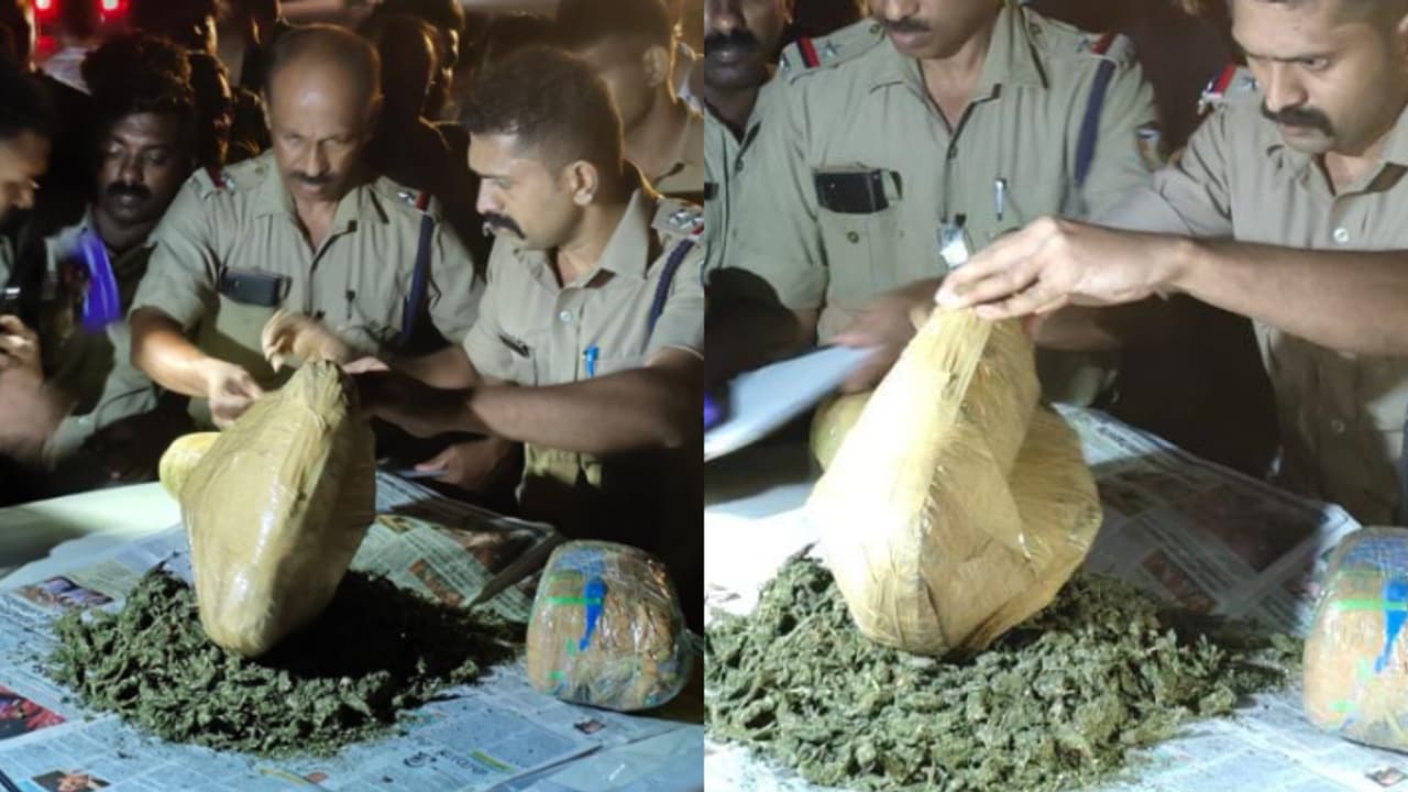 പാപ്പിനിശ്ശേരിയിൽ നിന്നും കണ്ണൂരിലേക്കുള്ള ബസ്; പരിശോധനയിൽ 5 കിലോ കഞ്ചാവ് കണ്ടെത്തി, യുപി സ്വദേശികൾ പിടിയിൽ