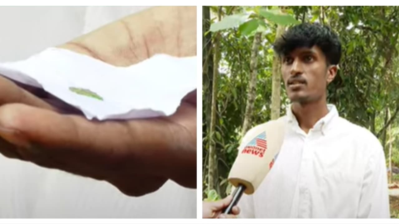 'കാലില് സഹിക്കാനാകാത്ത വേദന', പുറത്തെടുത്തത് ലോഹച്ചീള്; തൊടുപുഴ ജില്ല ആശുപത്രിയിൽ ചികിത്സാപിഴവെന്ന് ആരോപണം 'കാലില് സഹിക്കാനാകാത്ത വേദന', പുറത്തെടുത്തത് ലോഹച്ചീള്; തൊടുപുഴ ജില്ല ആശുപത്രിയിൽ ചികിത്സാപിഴവെന്ന് ആരോപണം