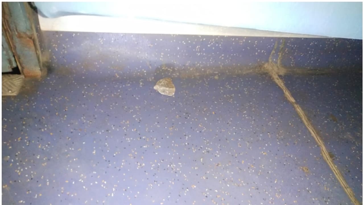 കോയമ്പത്തൂർ കണ്ണൂർ എക്സ്പ്രസിൽ നിന്ന് ആളുകൾ ഇറങ്ങി; പിന്നാലെ ട്രെയിനിന് നേർക്ക് പാഞ്ഞെത്തി കല്ലുകൾ, അറസ്റ്റ്