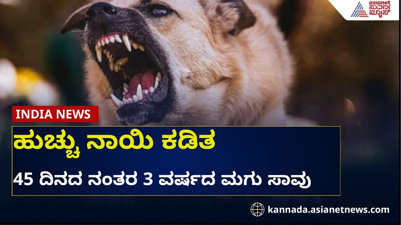 ಹುಚ್ಚು ನಾಯಿ ಕಚ್ಚಿ 3 ವರ್ಷದ ಮಗು ಸಾವು: ನಾಯಿ ಕಚ್ಚಿದ್ರು ಚಿಕಿತ್ಸೆ ಪಡೆಯದ 10 ಮಕ್ಕಳು ಹುಚ್ಚು ನಾಯಿ ಕಚ್ಚಿ 3 ವರ್ಷದ ಮಗು ಸಾವು: ನಾಯಿ ಕಚ್ಚಿದ್ರು ಚಿಕಿತ್ಸೆ ಪಡೆಯದ 10 ಮಕ್ಕಳು