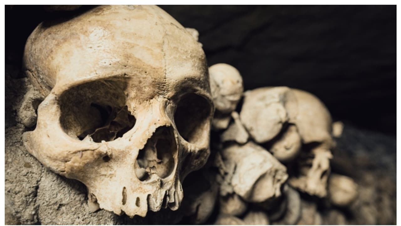 തലയോട്ടിയും മനുഷ്യാസ്ഥികളും ഫേസ്ബുക്കില്‍ വല്പനയ്ക്ക് വച്ച് 52 കാരി, അറസ്റ്റ്