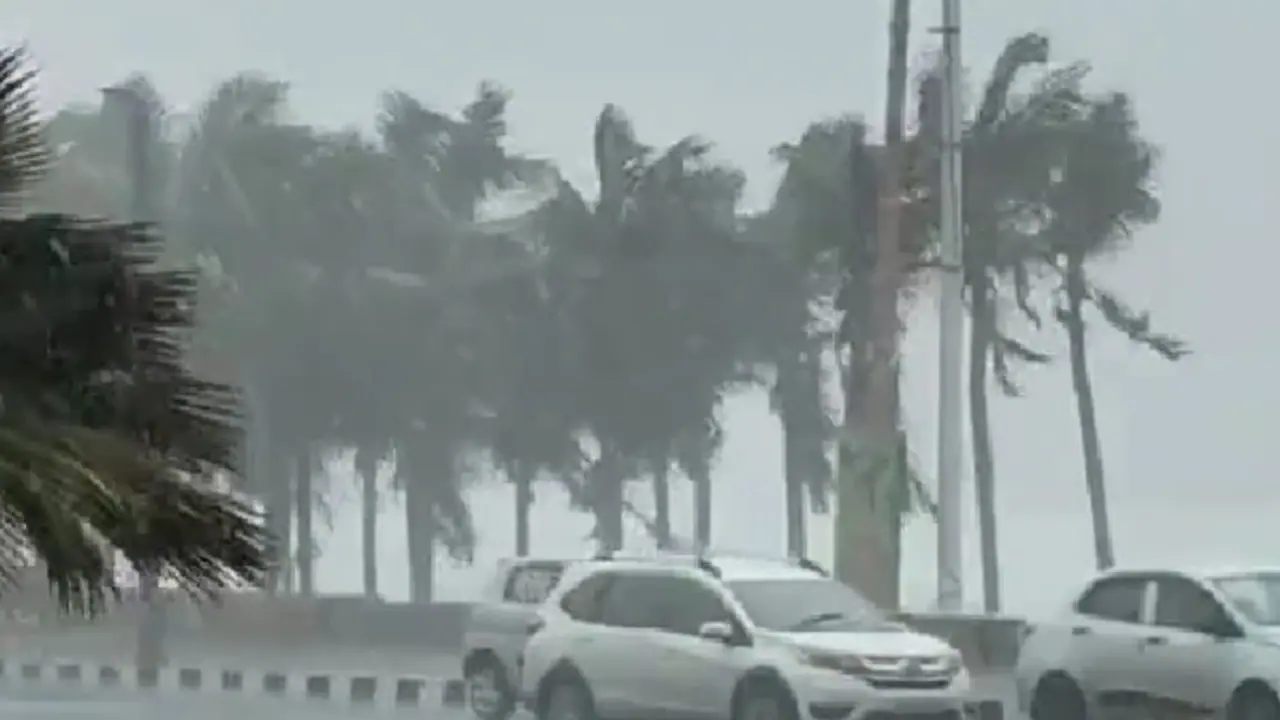 ​Above-normal monsoon in India this year, IMD predicts 105% rainfall​