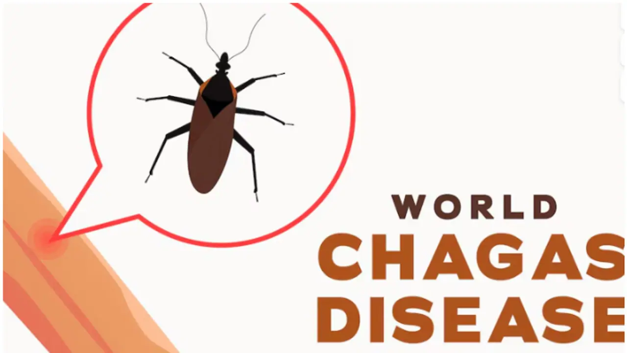 Could your home be inviting the 'kissing bug'? Could your home be inviting the 'kissing bug'?