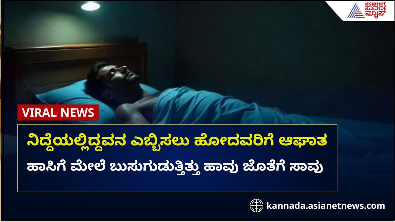 ನಿದ್ದೆಯಲ್ಲಿದ್ದಾಗ 10 ಬಾರಿ ಕಚ್ಚಿದ ಹಾವು: ಯುವಕ ಸಾವು