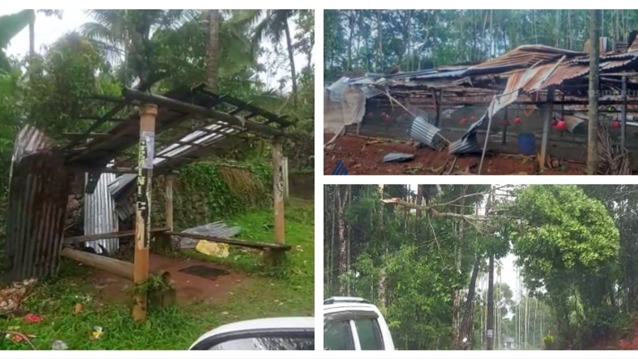 വയനാട് കനത്ത മഴ, കാറ്റ്; കോഴിഫാമിന്റെ ഷീറ്റുകൾ പറന്നുപോയി, 3500 കോഴിക്കുഞ്ഞുങ്ങൾ ചത്തു; തൊടുപുഴയിലും നാശനഷ്ടം വയനാട് കനത്ത മഴ, കാറ്റ്; കോഴിഫാമിന്റെ ഷീറ്റുകൾ പറന്നുപോയി, 3500 കോഴിക്കുഞ്ഞുങ്ങൾ ചത്തു; തൊടുപുഴയിലും നാശനഷ്ടം