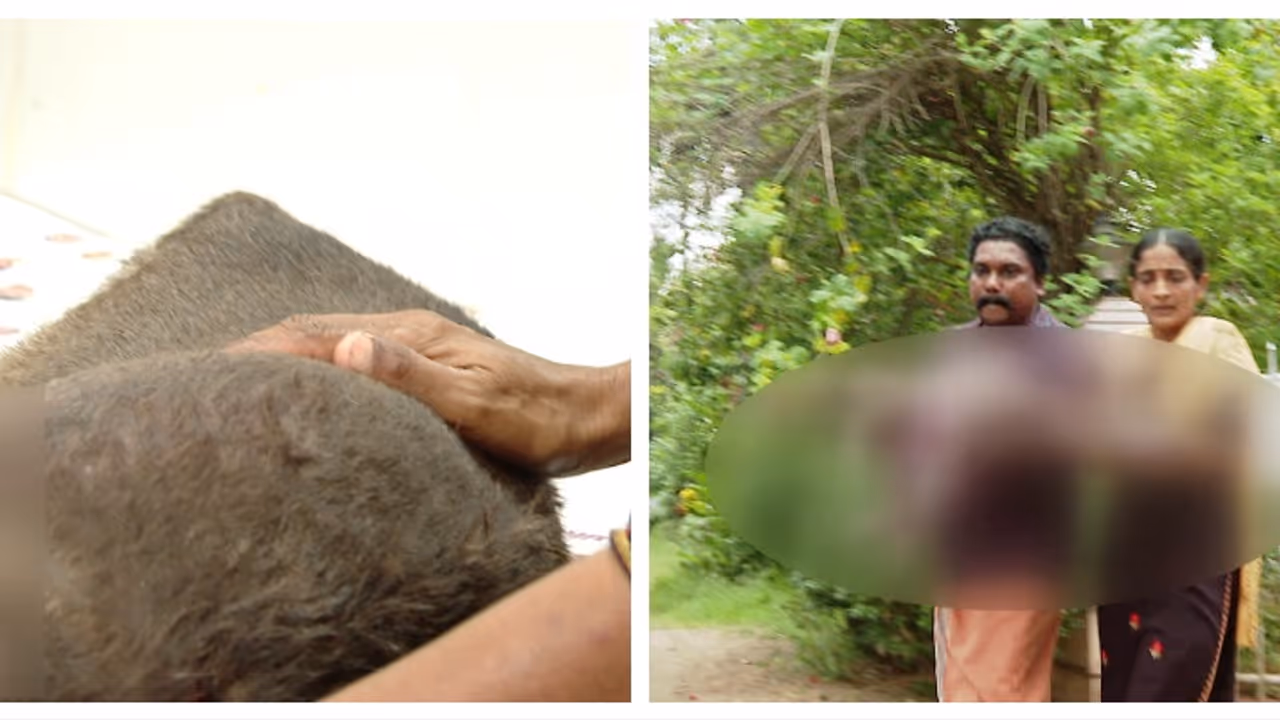 തൊടുപുഴയിൽ വളർത്തുനായയെ വെട്ടിപ്പരിക്കേൽപിച്ച് ഉടമ; വിളിച്ചിട്ട് അടുത്തേക്ക് വരാത്തതിനാൽ ക്രൂരത; കേസെടുത്തു തൊടുപുഴയിൽ വളർത്തുനായയെ വെട്ടിപ്പരിക്കേൽപിച്ച് ഉടമ; വിളിച്ചിട്ട് അടുത്തേക്ക് വരാത്തതിനാൽ ക്രൂരത; കേസെടുത്തു