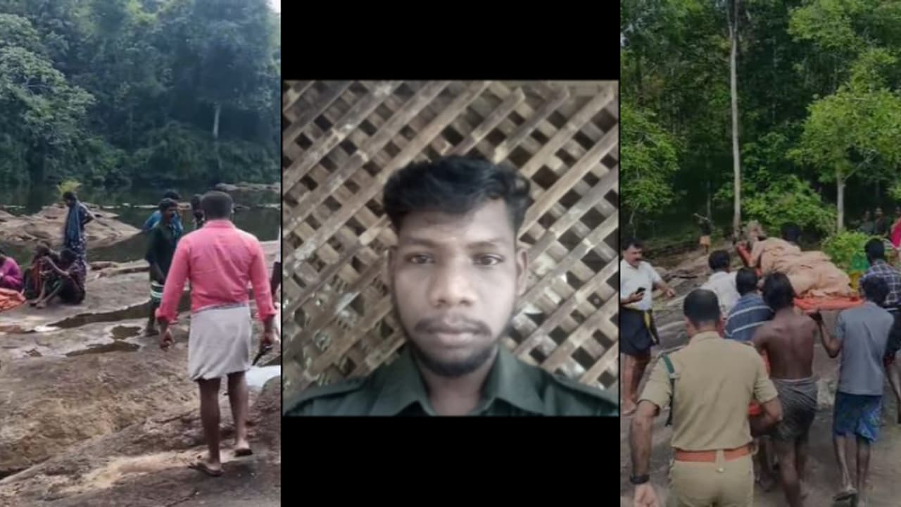 തേനെടുക്കാൻ പോയത് 4 പേർ; സതീശനെ ആന ആക്രമിച്ചു, 3 പേർ വെള്ളത്തിൽ ചാടി, സംഭവം അതിരപ്പിള്ളി പിക്നിക് സ്പോട്ടിൽ