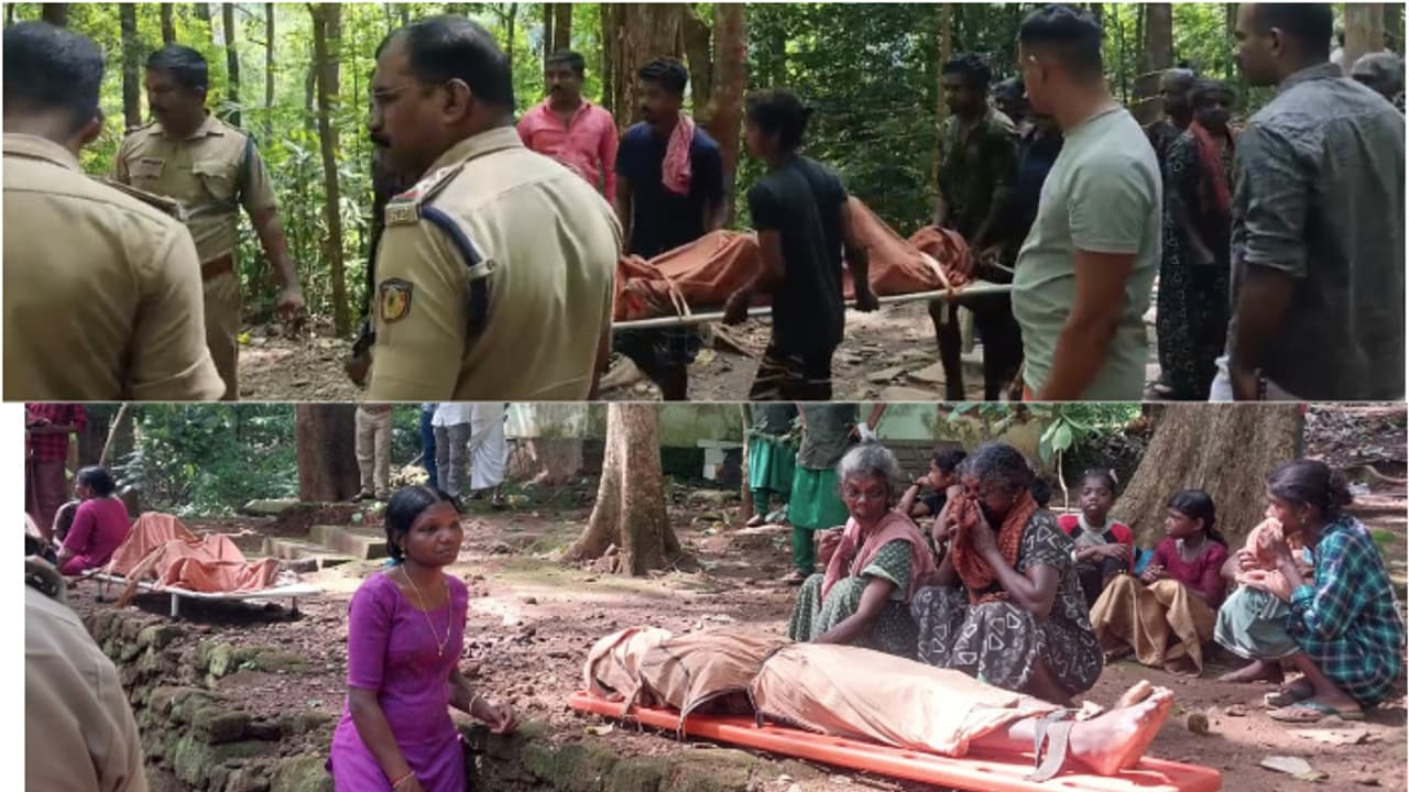 വനാതിർത്തികളിലെ ജനങ്ങളെ വിധിക്ക് വിട്ടുകൊടുക്കുന്നു, മന്ത്രി എന്തിനാണ് ആ സ്ഥാനത്തിരിക്കുന്നതെന്ന് വിഡിസതീശന്‍