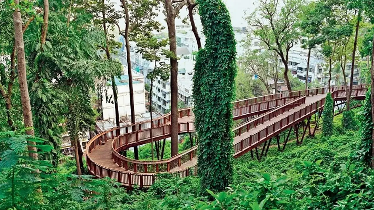 Malabar Hill nature trail Malabar Hill nature trail