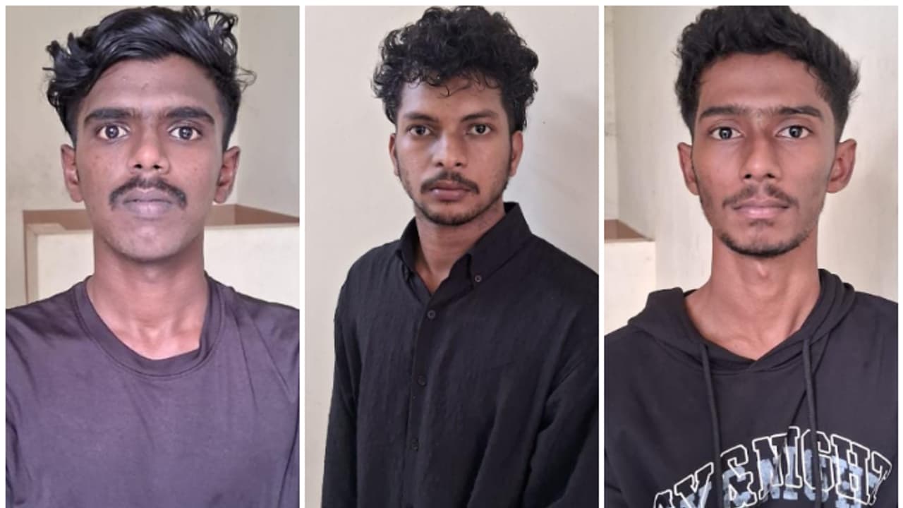 താമരക്കുളത്ത് പട്രോളിംഗ് സംഘത്തിന് മുന്നിൽ പോയി കൃത്യമായി പെട്ടു, വാടക വീട്ടിലും പരിശോധന; കഞ്ചാവ് പിടിച്ചു