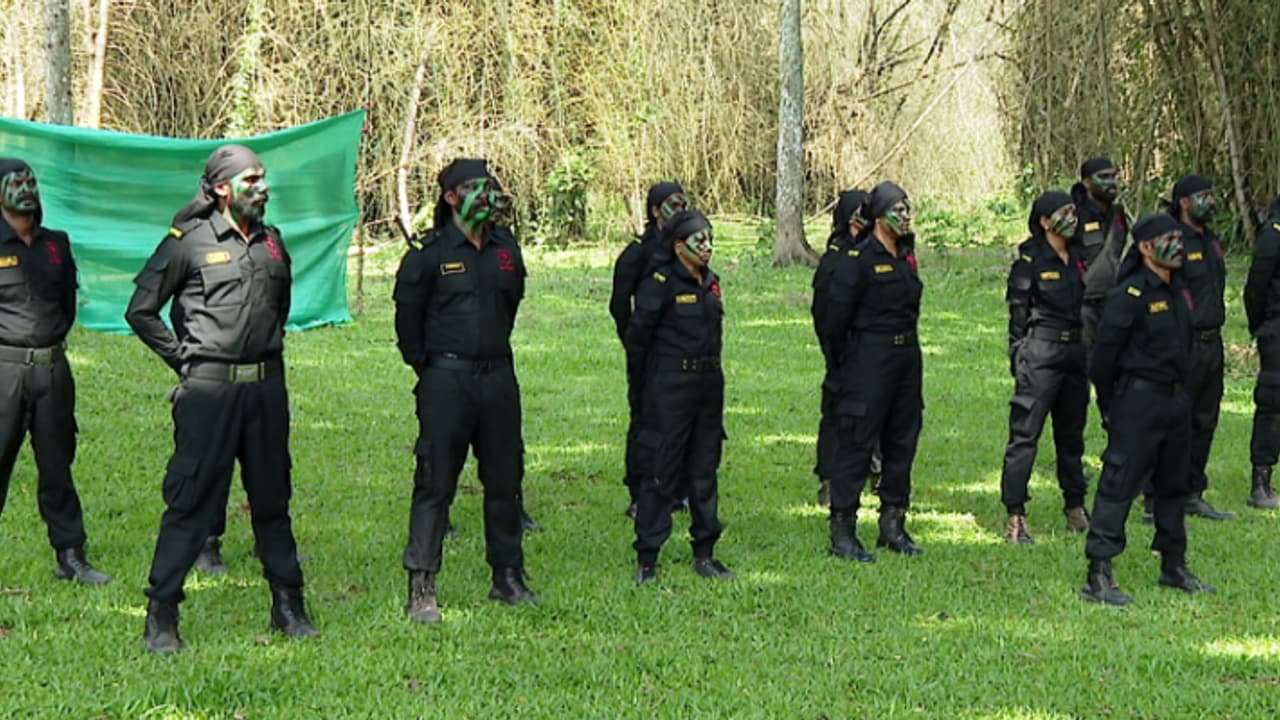 മനുഷ്യ മൃഗ സംഘർഷമുണ്ടാകുന്ന മേഖലയിൽ നിർണായക സാന്നിധ്യം, വൈറലാണ് വൈപ്പർ സേനാംഗങ്ങൾ മനുഷ്യ മൃഗ സംഘർഷമുണ്ടാകുന്ന മേഖലയിൽ നിർണായക സാന്നിധ്യം, വൈറലാണ് വൈപ്പർ സേനാംഗങ്ങൾ