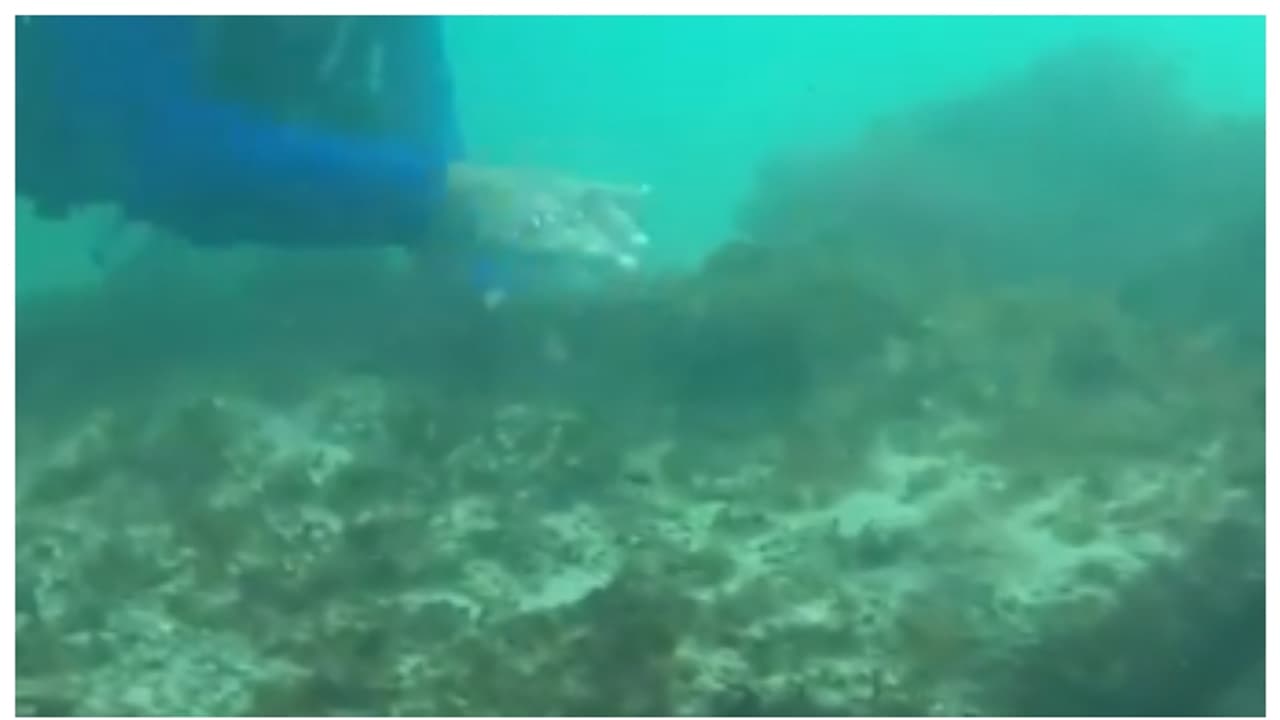 കടലിന് അടിയിലെ പൌരാണിക ഇന്ത്യന്‍ നഗരം, ദ്വാരക തേടി പുരാവസ്തു വകുപ്പ്