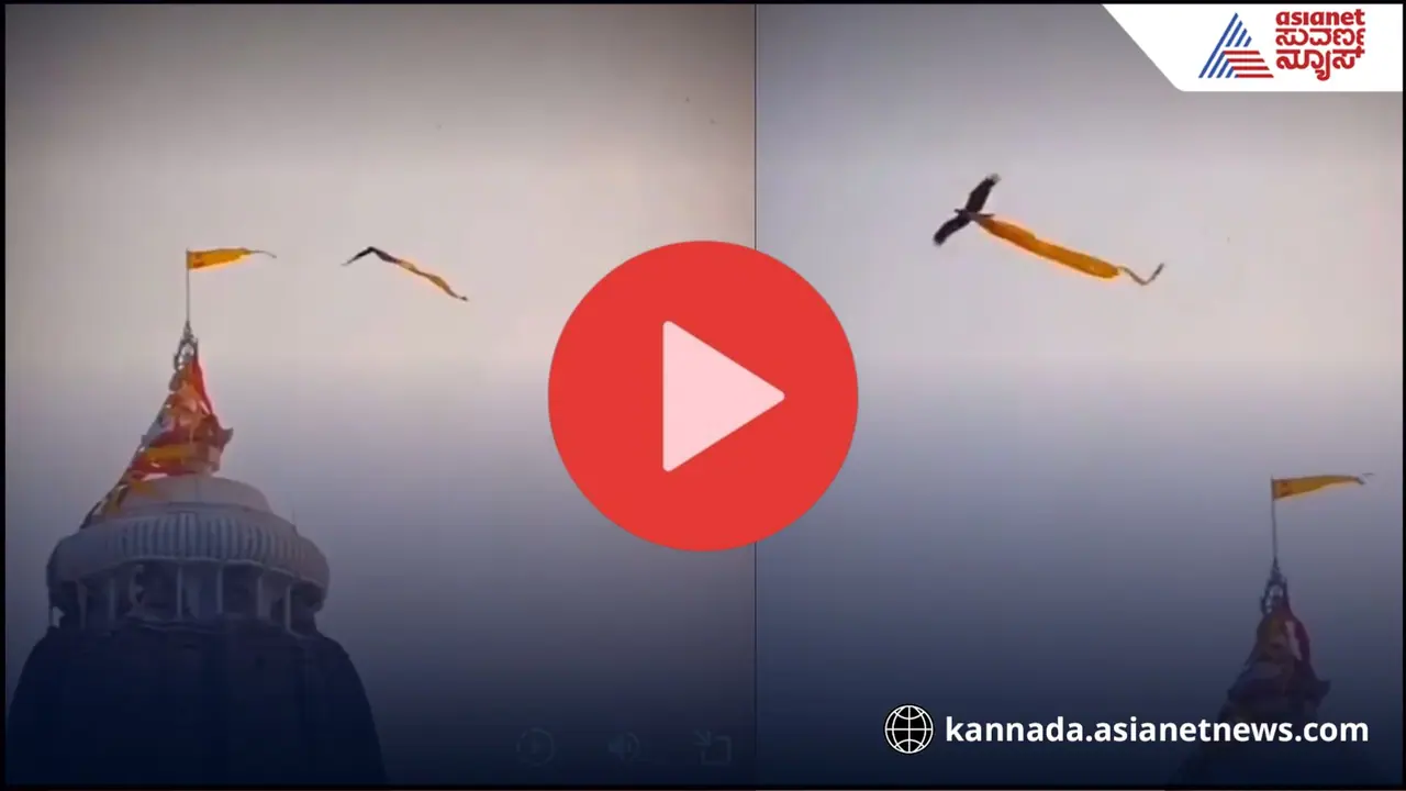 ಕೆಟ್ಟ ಶಕುನವೋ? ಅದೃಷ್ಟದ ಸೂಚನೆಯೋ? ಪೂರಿ ಜಗನ್ನಾಥ ದೇವಸ್ಥಾನದ ಮೇಲೆ ಧ್ವಜದ ರೀತಿಯ ಬಟ್ಟೆ ಹಿಡಿದು ಹಾರಿದ ಗರುಡ!