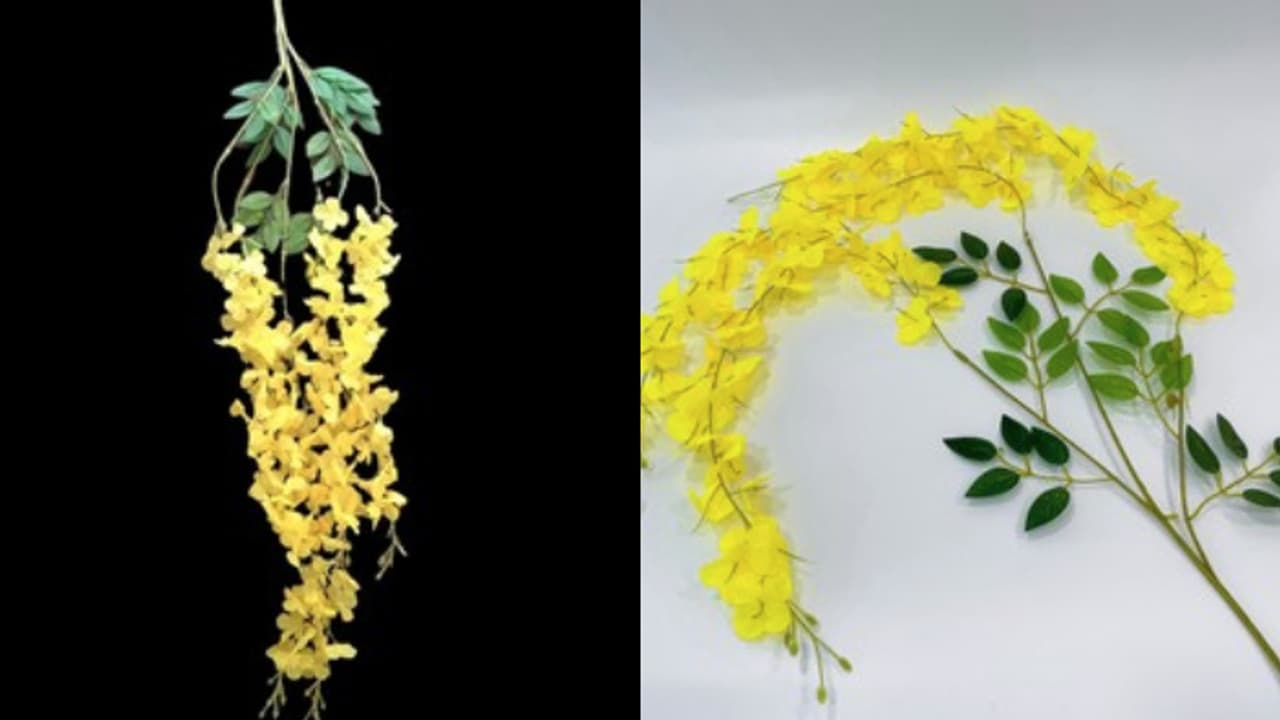 പ്ലാസ്റ്റിക് കണിക്കൊന്ന ഗുരുതര മാലിന്യ പ്രശ്നം ഉണ്ടാക്കുമെന്ന് പരാതി , മനുഷ്യാവകാശ കമ്മീഷൻ കേസെടുത്തു