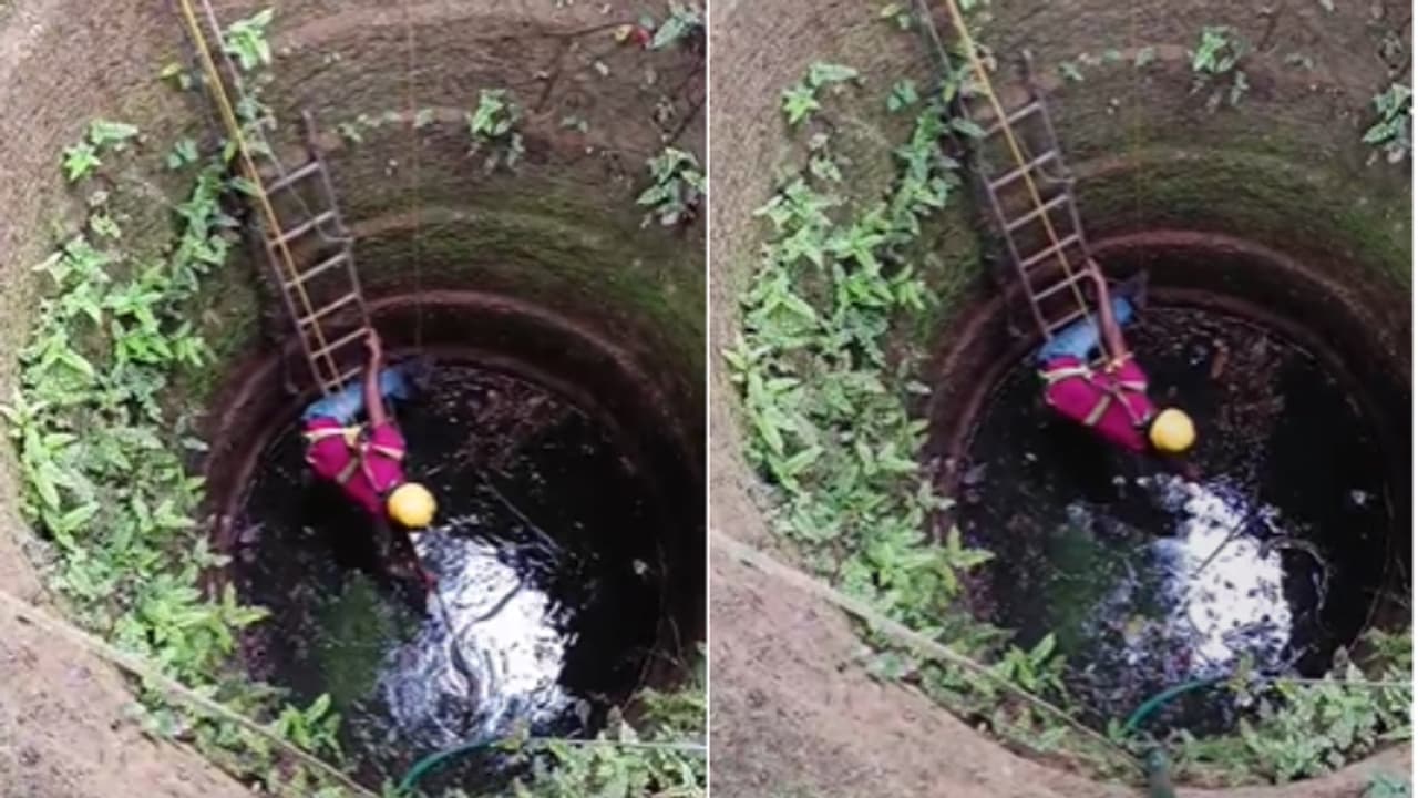 ആദ്യം ഏണിയറക്കി, പിന്നെ കുട്ടയിറക്കി, രണ്ട് ദിവസം പഠിച്ചപണി പതിനെട്ടും നോക്കി, കിണറ്റിൽ നിന്ന് കയറാതെ മൂര്‍ഖൻ