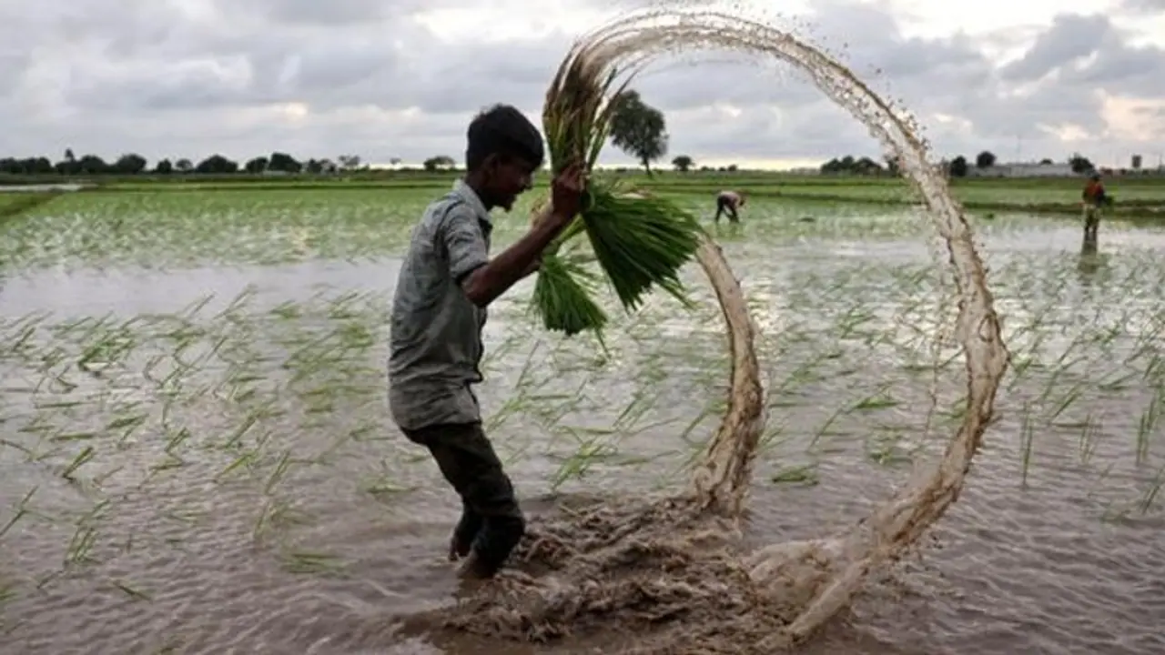 ಮೇ.27ಕ್ಕೆ ಕೇರಳಕ್ಕೆ ಮಾನ್ಸೂನ್ ಪ್ರವೇಶ ಸಾಧ್ಯತೆ: ವಾಡಿಕೆಗಿಂತ ಮೊದಲೇ ಮಳೆ ಆಗಮನದ ನಿರೀಕ್ಷೆ