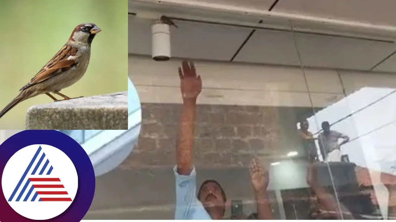 ಅಂಗಡಿಯ ಬೀಗ ಒಡೆದು ಕೇರಳಿಗರನ್ನು ಒಗ್ಗೂಡಿಸಿತು ಈ ಗುಬ್ಬಿ! ಅಬ್ಬಾ ಎನ್ನೋ ಘಟನೆ ಇದು ಅಂಗಡಿಯ ಬೀಗ ಒಡೆದು ಕೇರಳಿಗರನ್ನು ಒಗ್ಗೂಡಿಸಿತು ಈ ಗುಬ್ಬಿ! ಅಬ್ಬಾ ಎನ್ನೋ ಘಟನೆ ಇದು