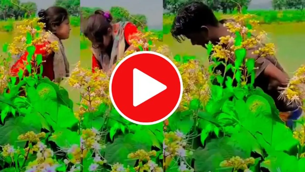  ಕೆರೆ ಪೊದೆಯಿಂದ ಎದ್ದು ಬಟ್ಟೆ ಸರಿ ಮಾಡಿಕೊಳ್ಳುತ್ತಾ ಓಡಿದ ಜೋಡಿ; ನಿಮ್ಮೂರಿನಲ್ಲಿ OYO ಇಲ್ವಾ ಎಂದ ನೆಟ್ಟಿಗರು! 