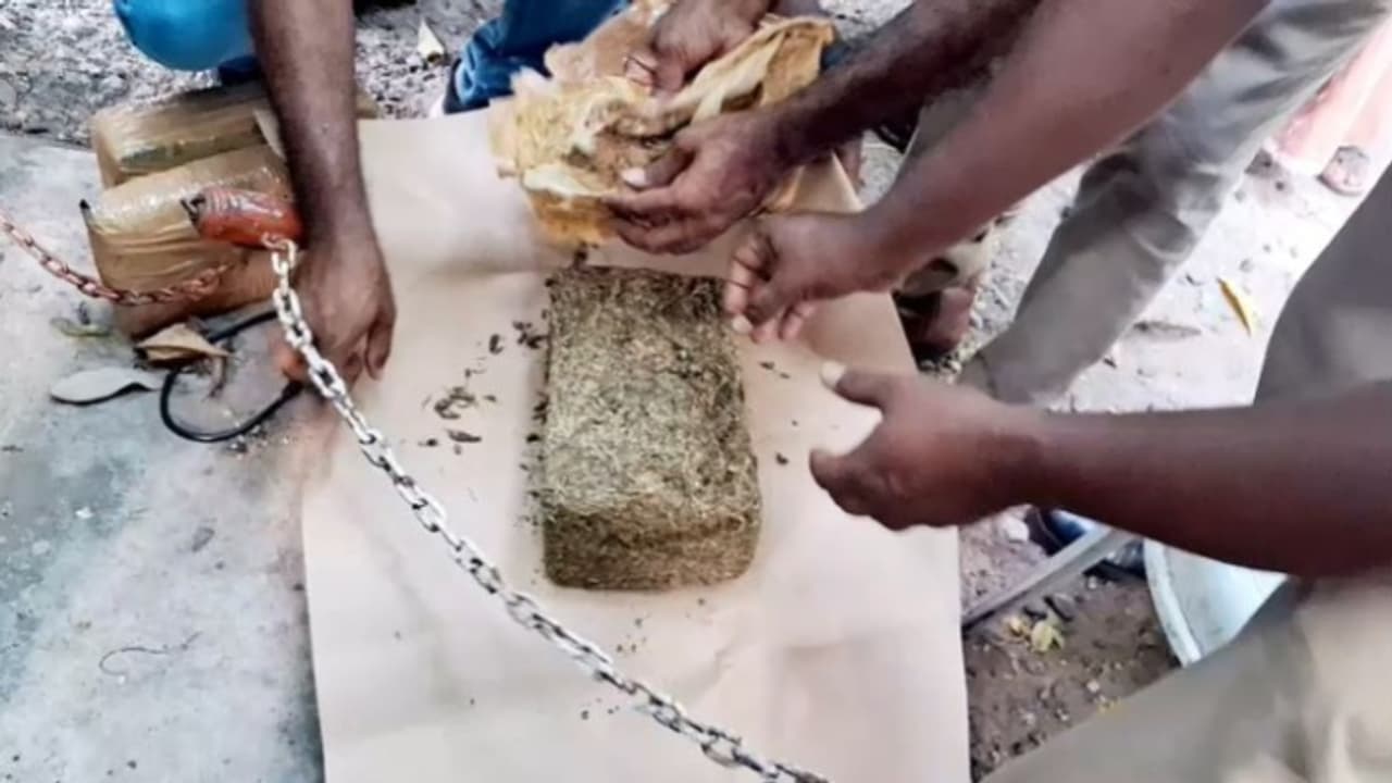 രഹസ്യ വിവരം കിട്ടി റെയിൽവെ സ്റ്റേഷൻ പരിസരത്ത് നിരീക്ഷണം; ഒറീസയിൽ നിന്നെത്തിച്ച കഞ്ചാവുമായി രണ്ട് പേർ പിടിയിൽ രഹസ്യ വിവരം കിട്ടി റെയിൽവെ സ്റ്റേഷൻ പരിസരത്ത് നിരീക്ഷണം; ഒറീസയിൽ നിന്നെത്തിച്ച കഞ്ചാവുമായി രണ്ട് പേർ പിടിയിൽ