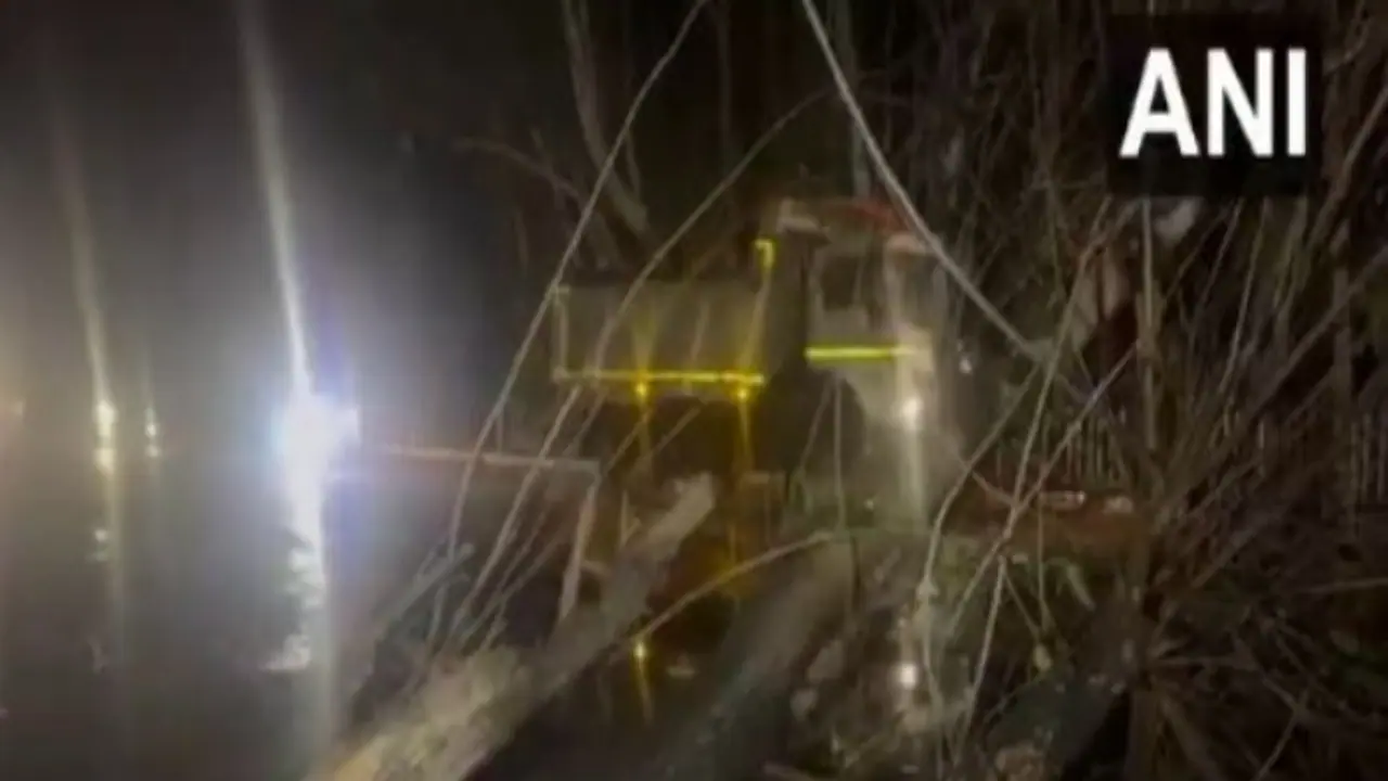 Strong winds, rain wreaks havoc in Jammu and Udhampur; Trees uprooted, vehicles damaged, power outages reported