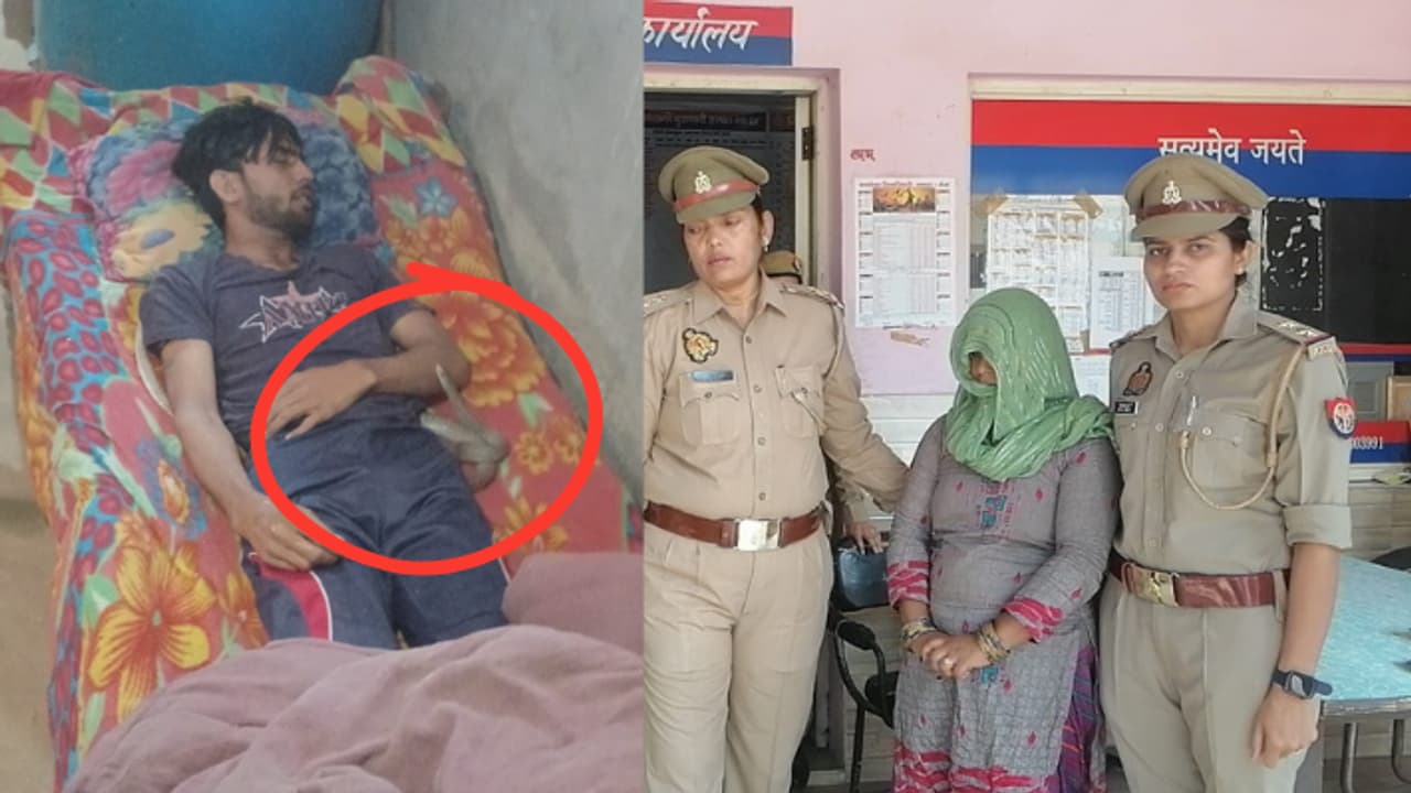 UP Crime news meerut wife kills husband with snake conspiracy exposed in postmortem UP Crime news meerut wife kills husband with snake conspiracy exposed in postmortem