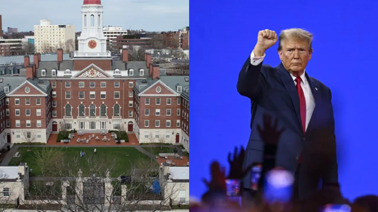 Explained: 10 points about Donald Trump Harvard fallout