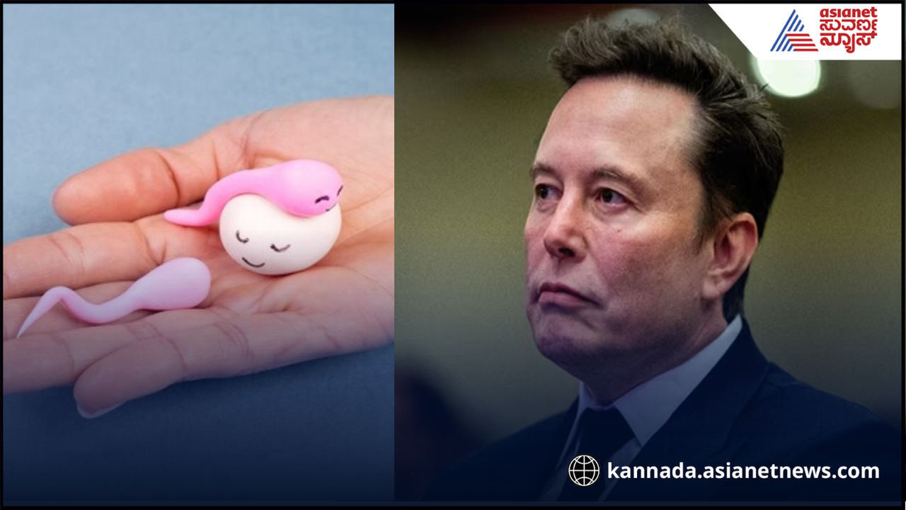 ಮಕ್ಕಳ ಸೈನ್ಯ ಸೃಷ್ಟಿಸುವುದೇ ಪ್ಲಾನ್, ಜಪಾನ್ ಮಹಿಳೆಗೆ ವೀರ್ಯ ಕಳುಹಿಸಿದ ಎಲಾನ್ ಮಸ್ಕ್