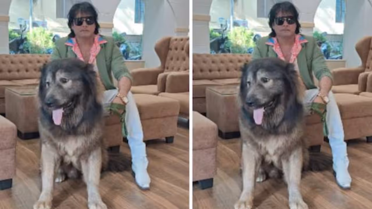 ഇഡി റെയ്ഡിന് പിന്നാലെ വൻ ട്വിസ്റ്റ്, 50 കോടി രൂപയ്ക്ക് വോൾഫ് ഡോഗിനെ സ്വന്തമാക്കിയെന്ന് പറഞ്ഞത് കള്ളം