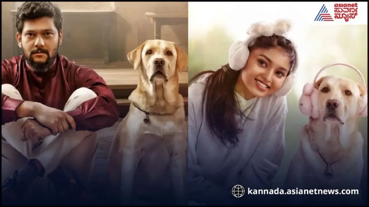 ರಚನಾ ಮಾಡರ್ನ್‌ ಹುಡುಗಿ, ರಾಕೇಶ್‌ ಹಳ‍್ಳಿ ಹುಡುಗ.. ಇವರಿಬ್ಬರ ಮಧ್ಯೆ ನಾಯಿಗೇನು ಕೆಲಸ?