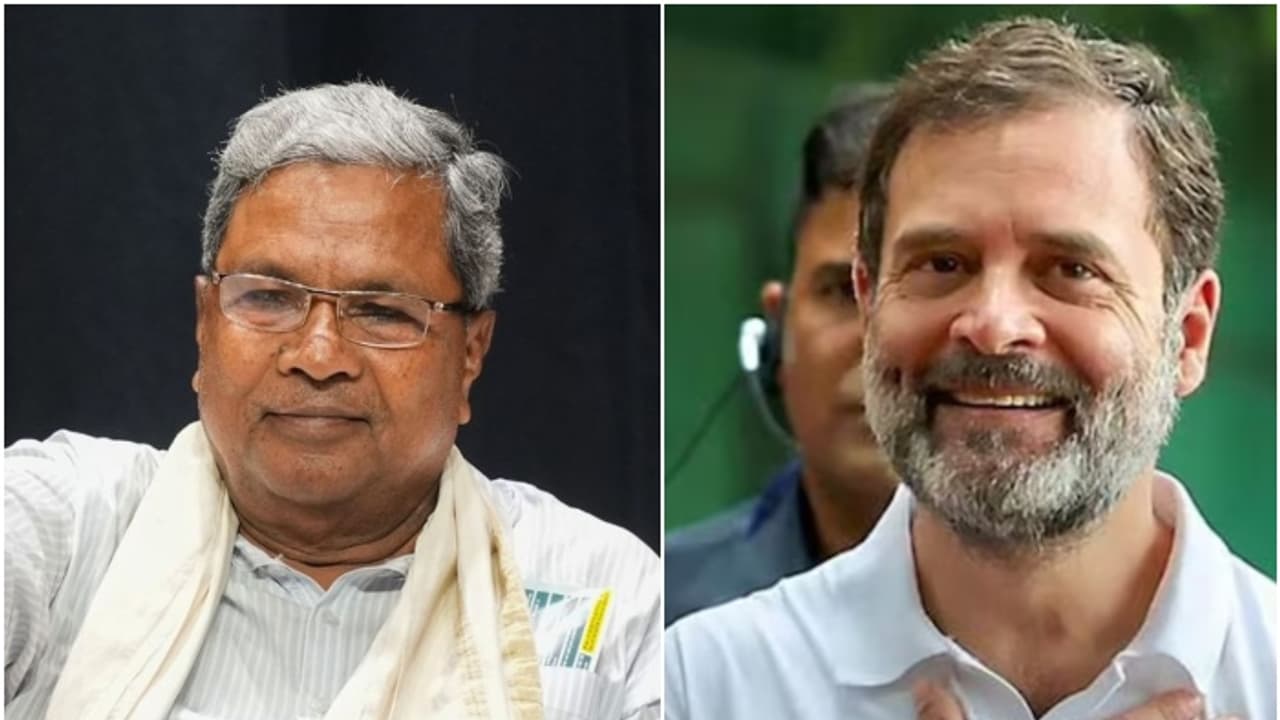 രോഹിത് വെമുല നിയമം എത്രയും പെട്ടെന്ന് നടപ്പാക്കണം, കർണാടക മുഖ്യമന്ത്രിക്ക് രാഹുൽ ഗാന്ധിയുടെ കത്ത് രോഹിത് വെമുല നിയമം എത്രയും പെട്ടെന്ന് നടപ്പാക്കണം, കർണാടക മുഖ്യമന്ത്രിക്ക് രാഹുൽ ഗാന്ധിയുടെ കത്ത്